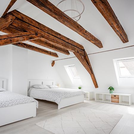 Le Grenier Du Photographe Apartment Kaysersberg-Vignoble Exterior photo